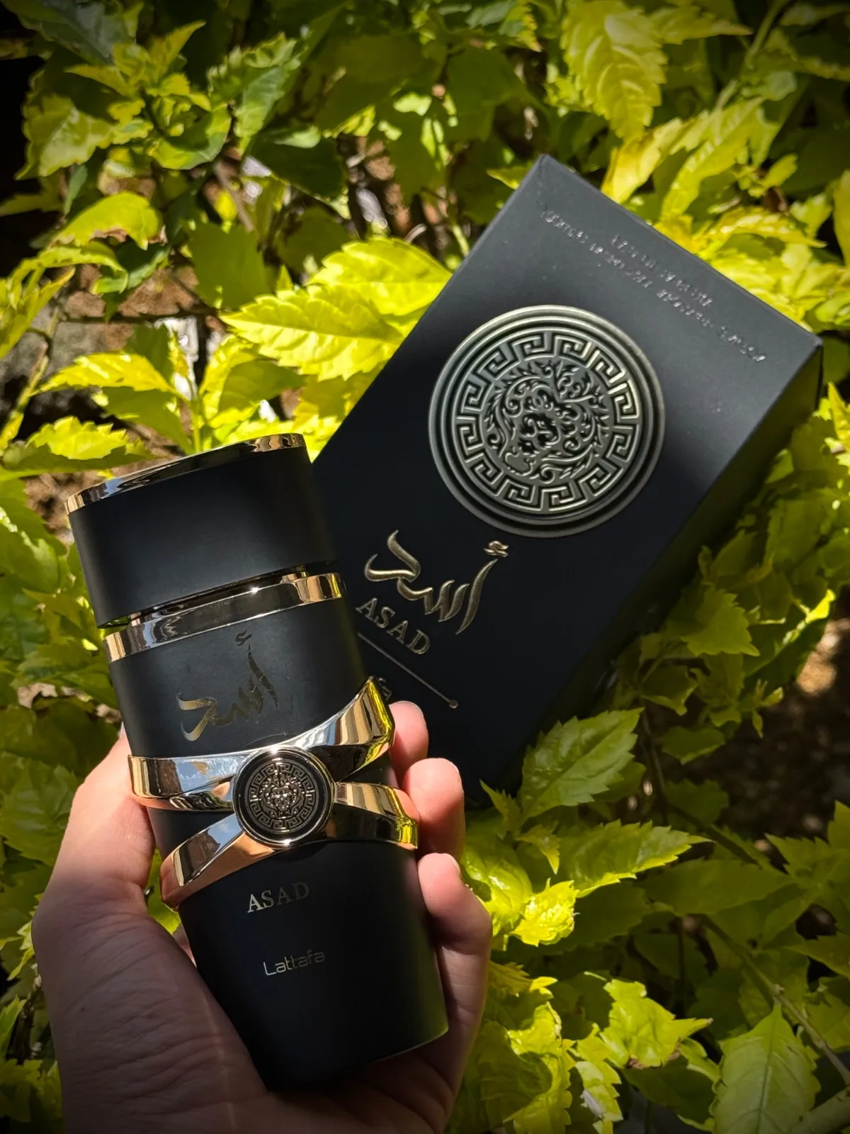 Perfume Lattafa Asad negra