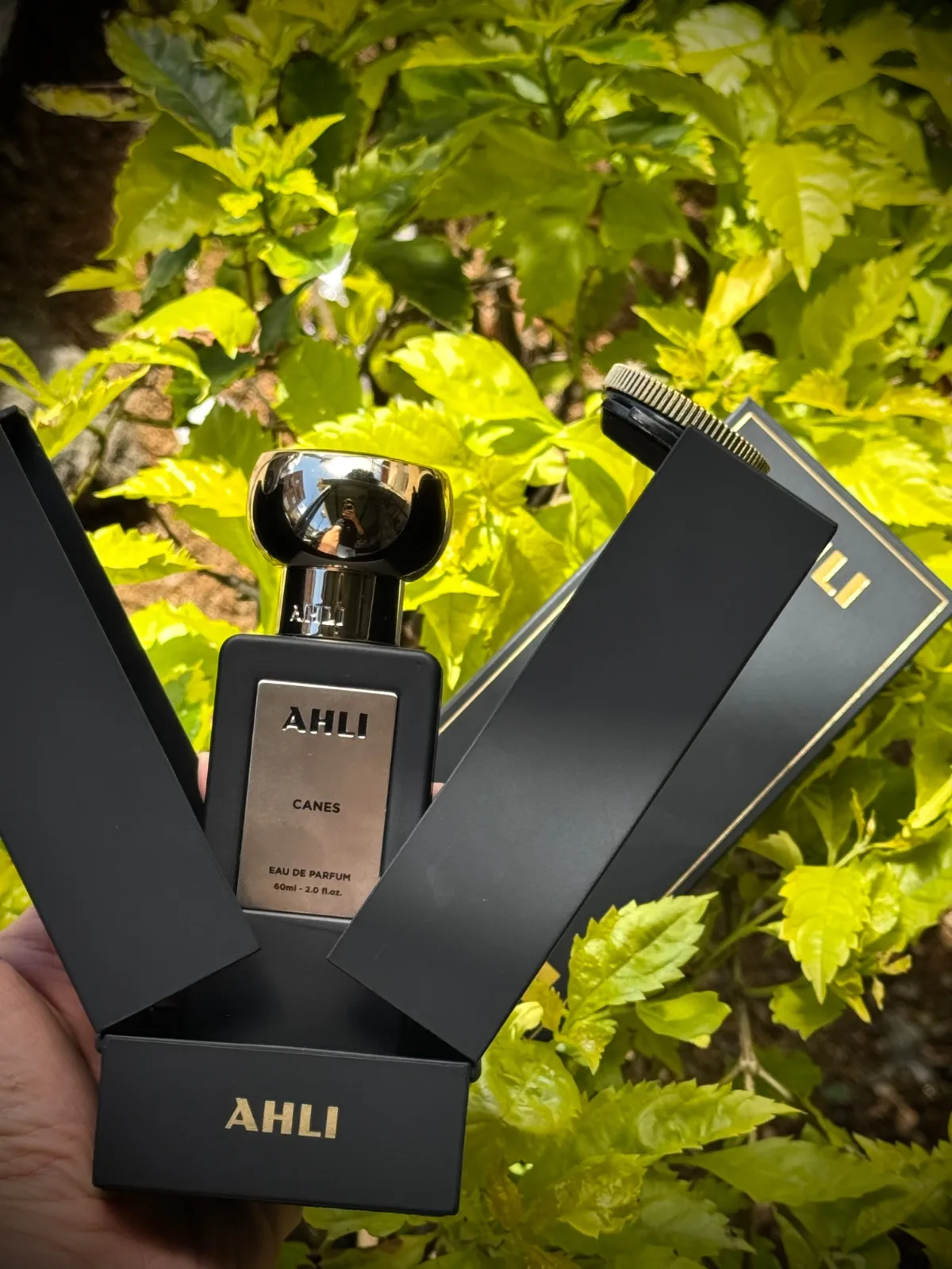 Perfume AHLI Canes original