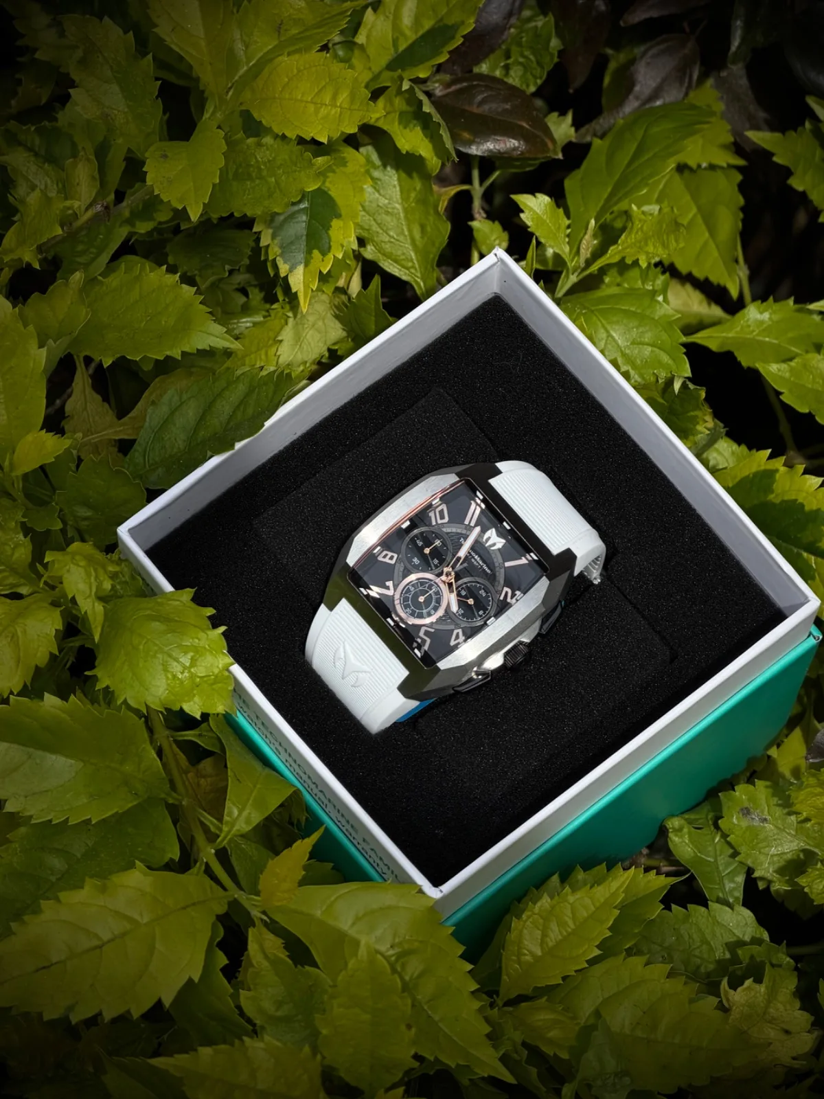 Reloj TECHNOMARINE plateado Original correa blanca