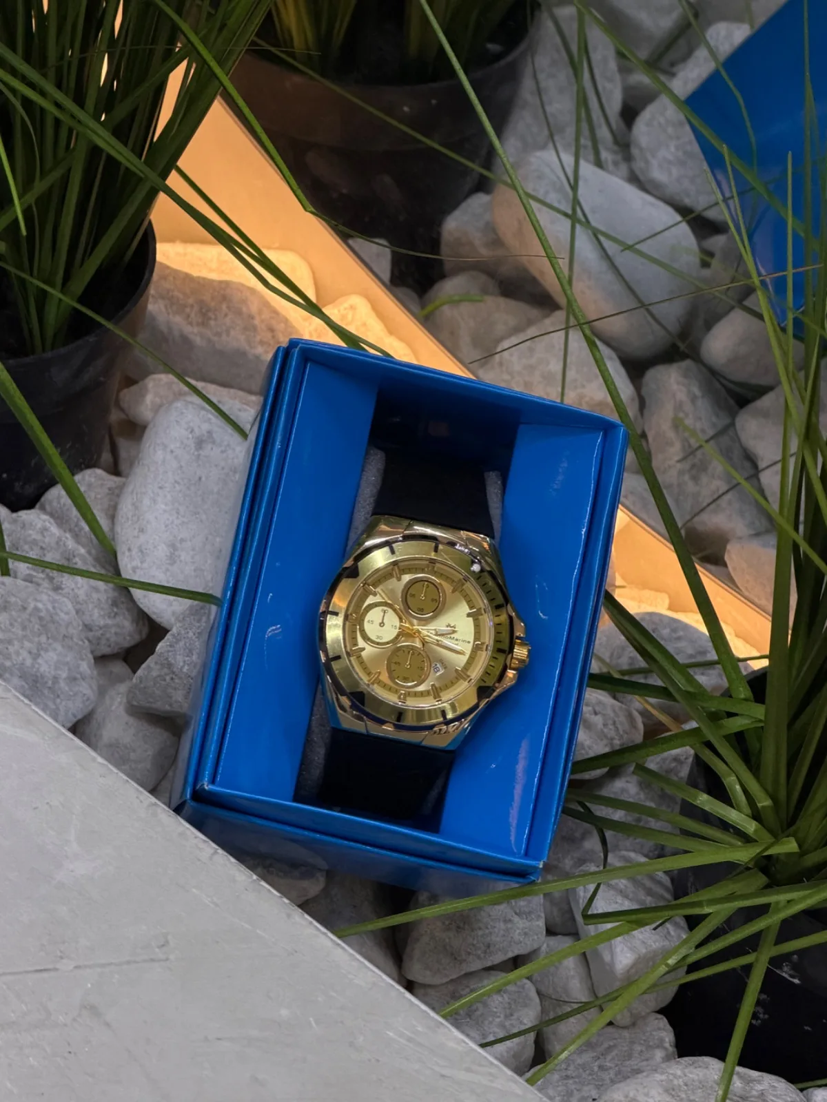 Reloj TECHNOMARINE circular 1.1 premium dorado