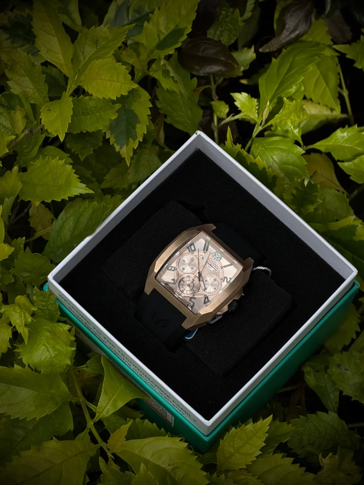 Reloj TECHNOMARINE oro rosa  Original correa negra