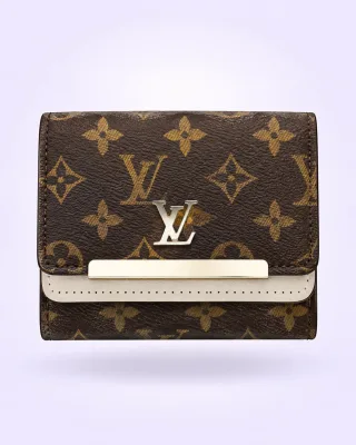 Billetera Louis Vuitton 1.1 premium café